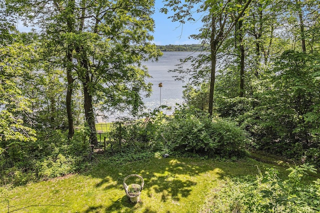300 Basswood Ter, Brooklyn, MI 49230 - view of yard featuring a water view