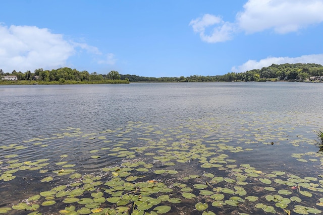 300 Basswood Ter, Brooklyn, MI 49230 - water view