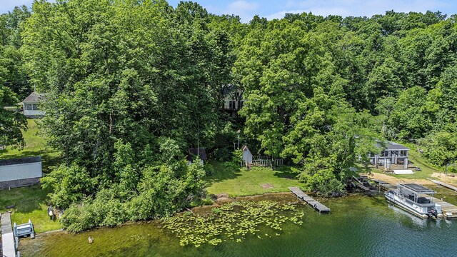 300 Basswood Ter, Brooklyn, MI 49230 - drone / aerial view of a large body of water and a heavily wooded area