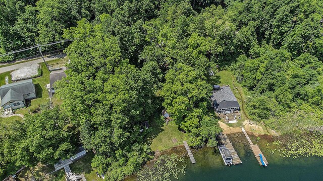 300 Basswood Ter, Brooklyn, MI 49230 - aerial view