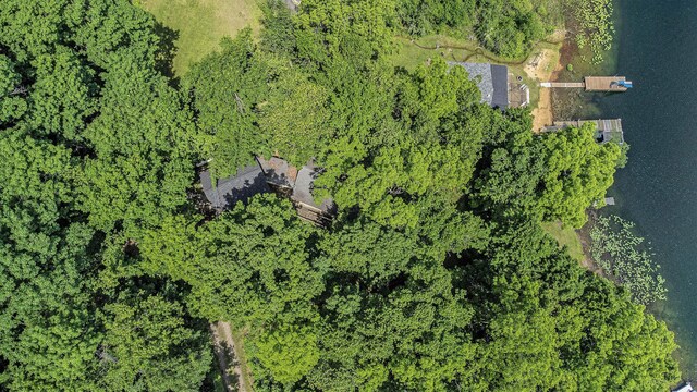 300 Basswood Ter, Brooklyn, MI 49230 - bird's eye view