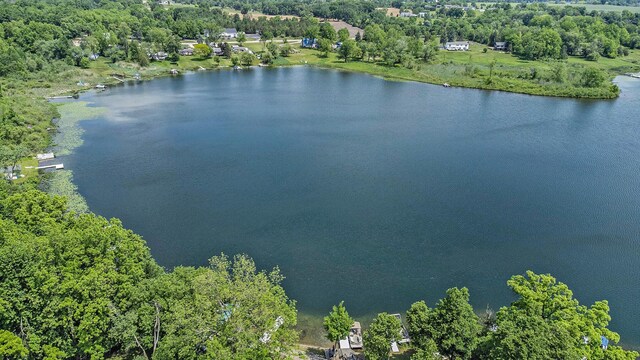 300 Basswood Ter, Brooklyn, MI 49230 - bird's eye view of a large body of water