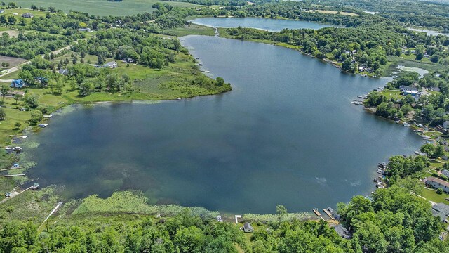300 Basswood Ter, Brooklyn, MI 49230 - aerial view of property and surrounding area featuring a nearby body of water