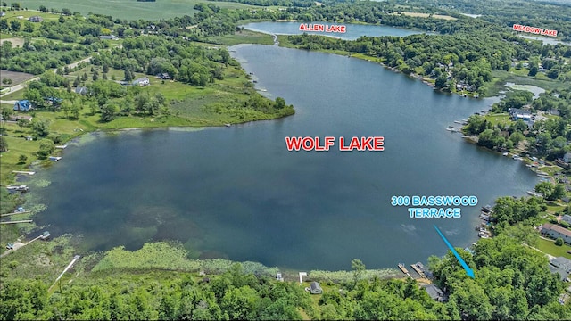 300 Basswood Ter, Brooklyn, MI 49230 - bird's eye view of a large body of water and a heavily wooded area
