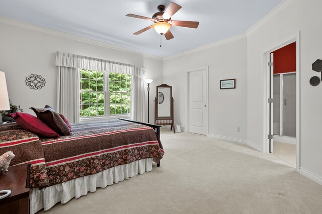 5254 Shane St, Kalamazoo, MI 49009 - photo 21