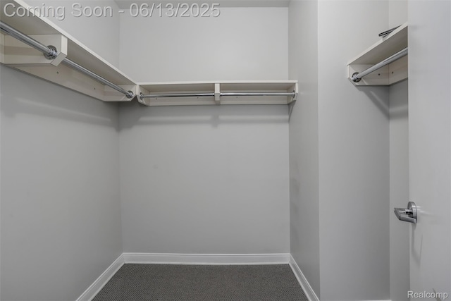 525 W Lafayette Blvd Unit 19C, Detroit, MI 48226 - spacious closet featuring carpet flooring