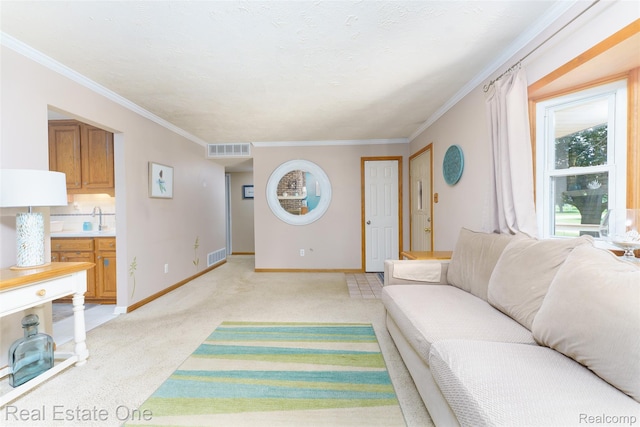 5320 Leland St, Brighton, MI 48116 - living area with light colored carpet and ornamental molding
