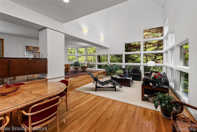 680 Willits St, Birmingham, MI 48009 - living area with a high ceiling, healthy amount of natural light, and wood finished floors