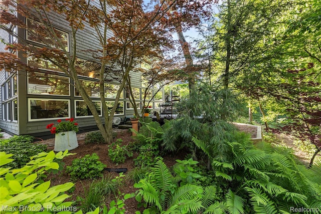 680 Willits St, Birmingham, MI 48009 - view of yard