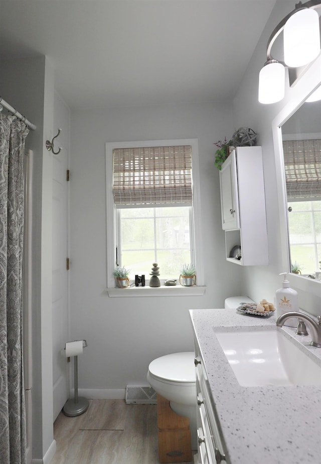 1052 E Rowland St, Grand Blanc, MI 48507 - bathroom with vanity, healthy amount of natural light, wood finished floors, and a shower with shower curtain