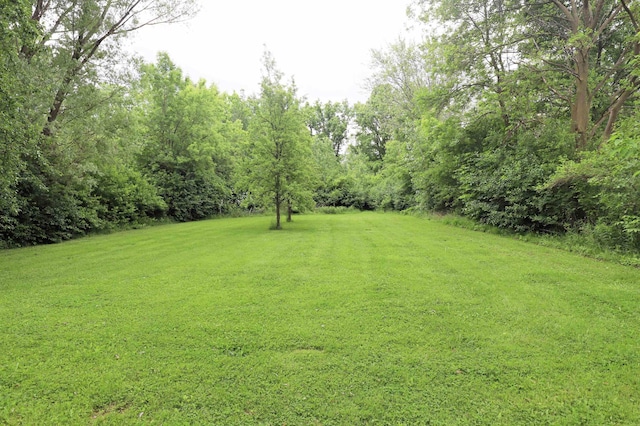 1052 E Rowland St, Grand Blanc, MI 48507 - view of green lawn