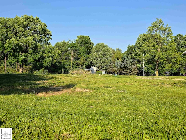 6131 N Irish Rd, Davison, MI 48423 - view of yard