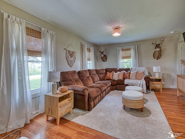 2491 Geiger Rd, Ida, MI 48140 - photo 12