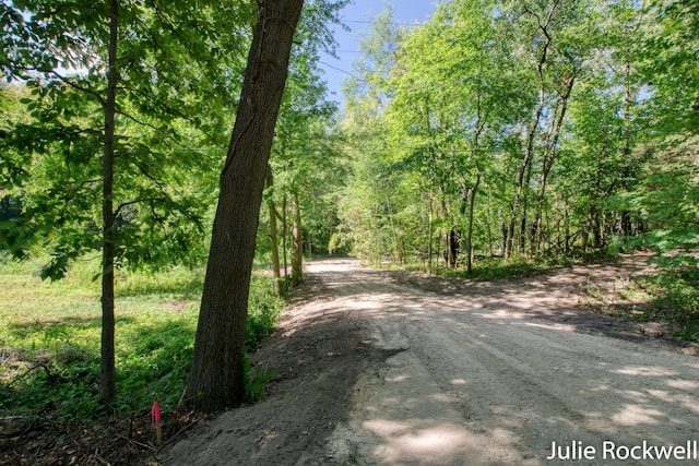 3727 Buttrick Ave SE, Ada, MI 49301 - view of dirt / gravel road with a view of trees