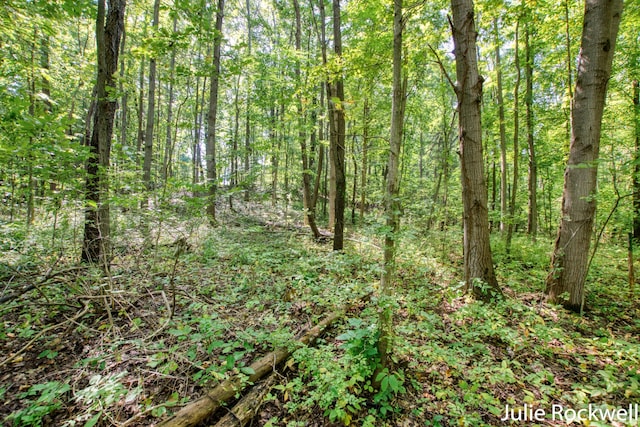 3727 Buttrick Ave SE, Ada, MI 49301 - view of tree filled area