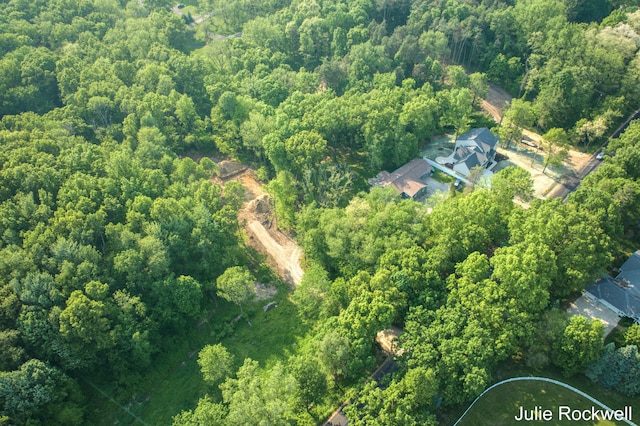 3727 Buttrick Ave SE, Ada, MI 49301 - aerial overview of property's location featuring a forest