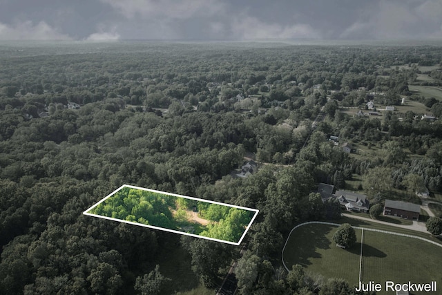 3727 Buttrick Ave SE, Ada, MI 49301 - aerial view of property's location with a heavily wooded area and property boundaries highlighted