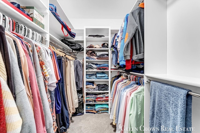 5173 Olsen Springs Ct Unit 13, Wyoming, MI 49509 - walk in closet with carpet