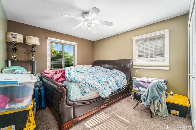 33521 Curtis Rd, Livonia, MI 48152 - photo 16