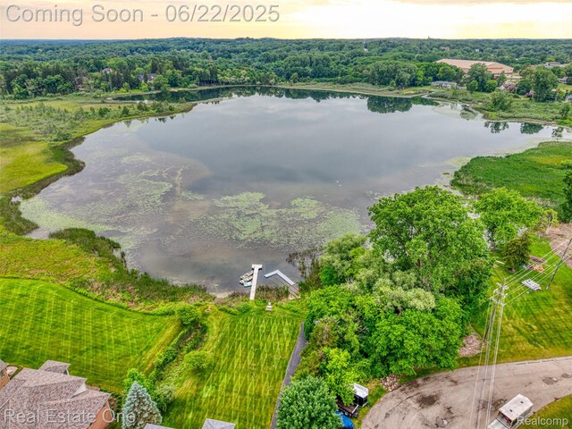 5258 Hidden Pines Dr, Brighton, MI 48116 - aerial view of a nearby body of water