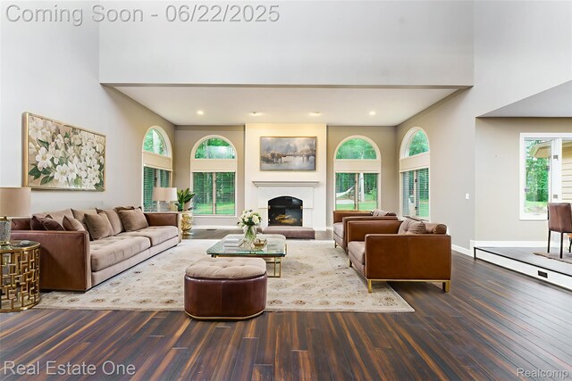 5258 Hidden Pines Dr, Brighton, MI 48116 - living area with wood finished floors, a high ceiling, recessed lighting, plenty of natural light, and a glass covered fireplace