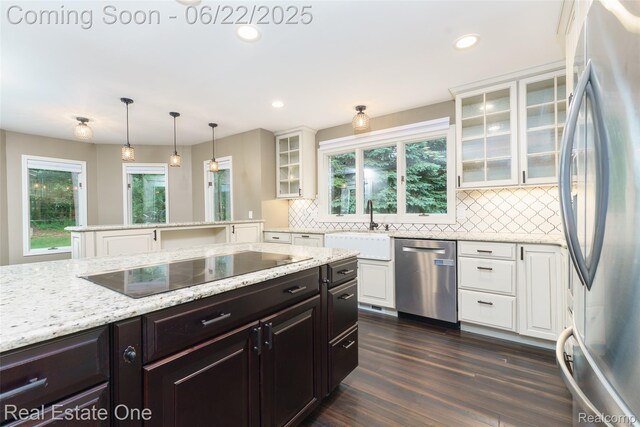 5258 Hidden Pines Dr, Brighton, MI 48116 - kitchen with appliances with stainless steel finishes, white cabinetry, decorative backsplash, dark wood finished floors, and recessed lighting