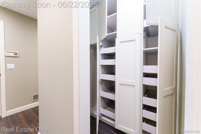 5258 Hidden Pines Dr, Brighton, MI 48116 - view of closet