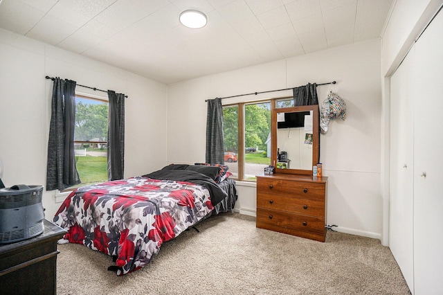 59 Dunning Ave, Battle Creek, MI 49037 - carpeted bedroom with multiple windows