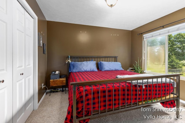 16304 Trent Ridge Dr, Cedar Springs, MI 49319 - carpeted bedroom with baseboards and a closet