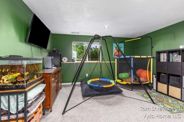 16304 Trent Ridge Dr, Cedar Springs, MI 49319 - recreation room featuring light carpet and a textured ceiling