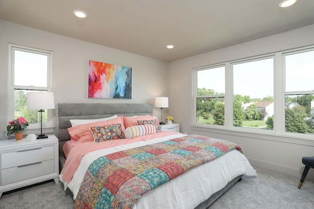 2133 Evergreen Ln Unit 28, Ann Arbor, MI 48103 - bedroom with carpet, multiple windows, and recessed lighting