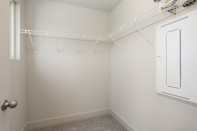 2133 Evergreen Ln Unit 28, Ann Arbor, MI 48103 - walk in closet featuring carpet