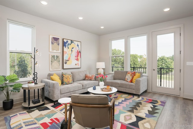 2133 Evergreen Ln Unit 28, Ann Arbor, MI 48103 - living room featuring wood finished floors and recessed lighting