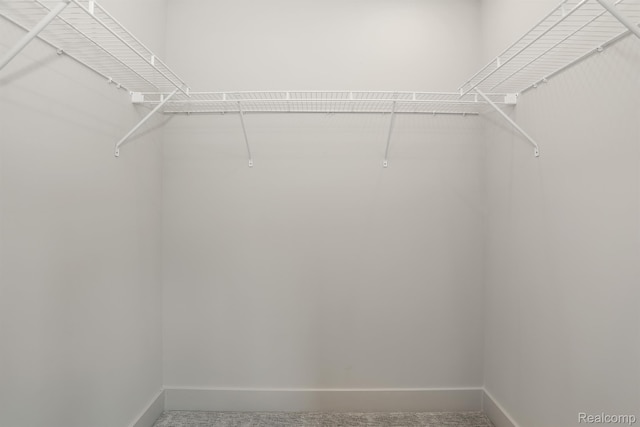 2133 Evergreen Ln Unit 28, Ann Arbor, MI 48103 - view of walk in closet