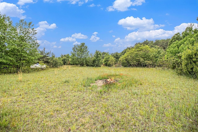 1715 S 48th Ave, Shelby, MI 49455 - view of yard featuring a forest view