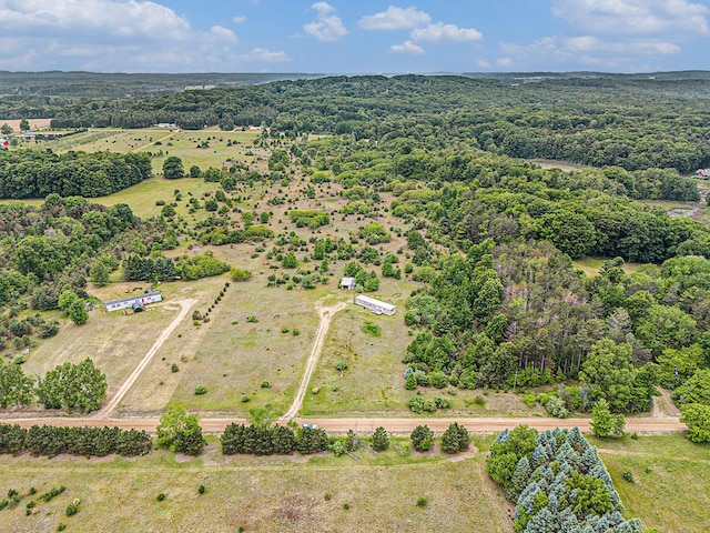 1715 S 48th Ave, Shelby, MI 49455 - view of rural area
