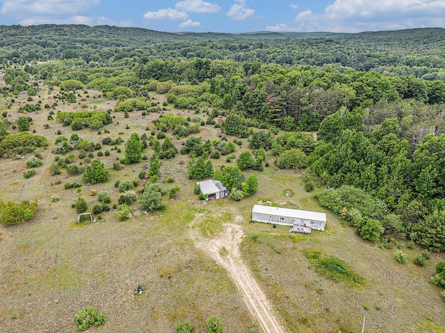 1715 S 48th Ave, Shelby, MI 49455 - bird's eye view of a forest