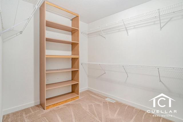 9365 Windward Dr, West Olive, MI 49460 - spacious closet with carpet flooring