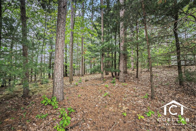 9365 Windward Dr, West Olive, MI 49460 - view of wooded area