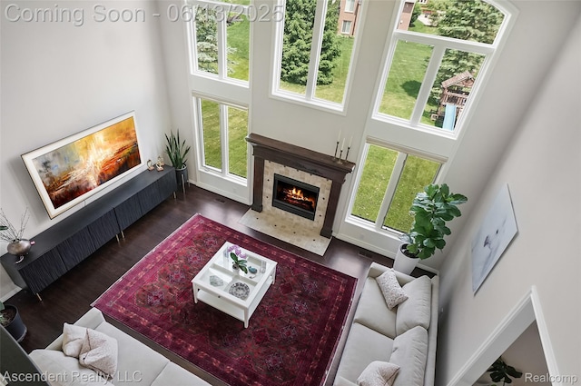 48392 Binghampton Dr, Northville, MI 48168 - living room with a high ceiling, a premium fireplace, plenty of natural light, wood finished floors, and radiator