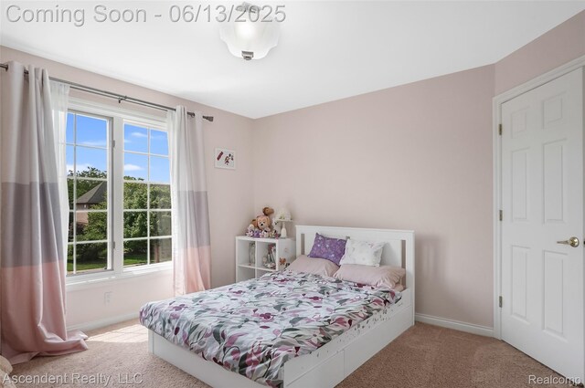 48392 Binghampton Dr, Northville, MI 48168 - bedroom with multiple windows and carpet floors