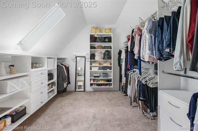 48392 Binghampton Dr, Northville, MI 48168 - walk in closet featuring carpet floors, vaulted ceiling, and a skylight