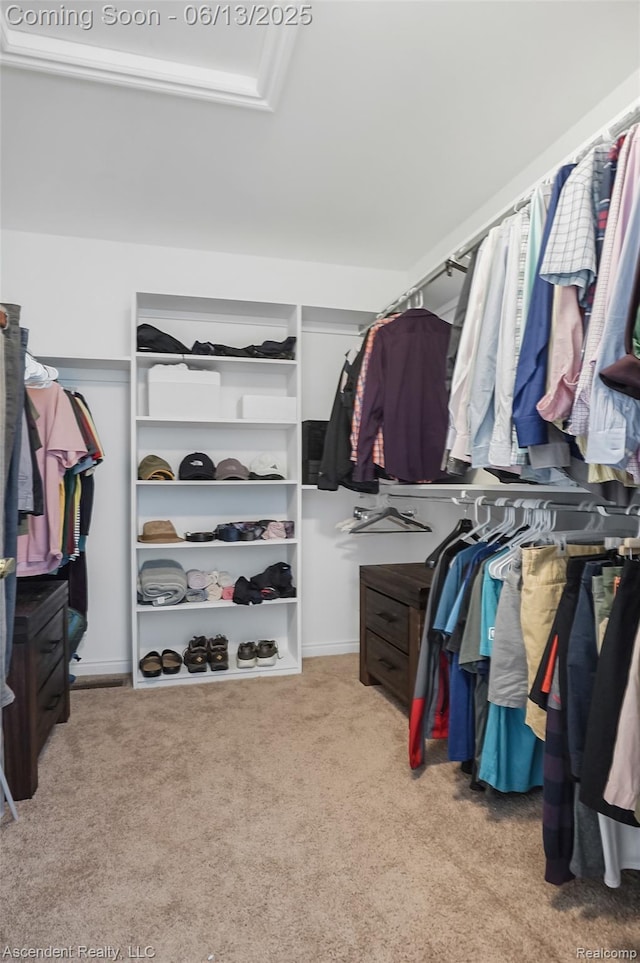 48392 Binghampton Dr, Northville, MI 48168 - walk in closet with carpet flooring