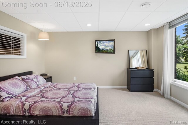 48392 Binghampton Dr, Northville, MI 48168 - carpeted bedroom featuring a drop ceiling