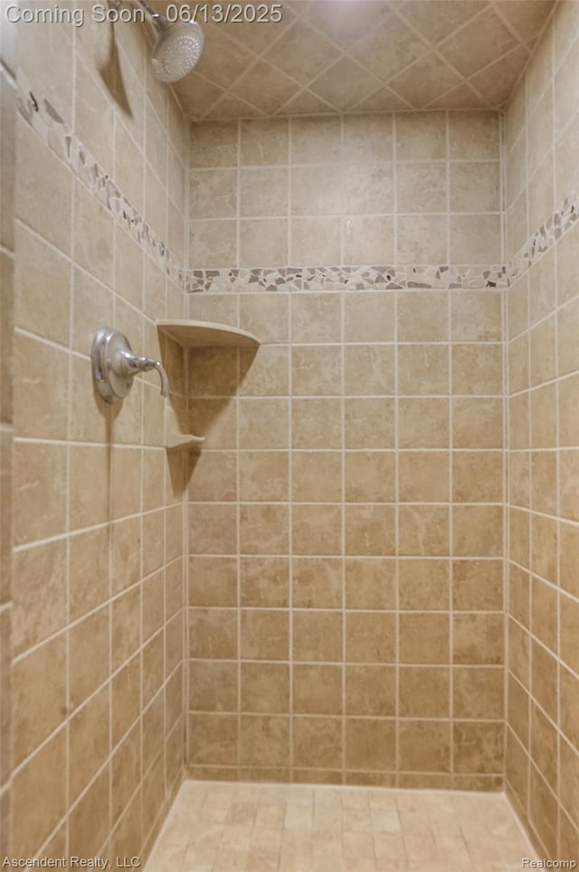 48392 Binghampton Dr, Northville, MI 48168 - bathroom with a tile shower