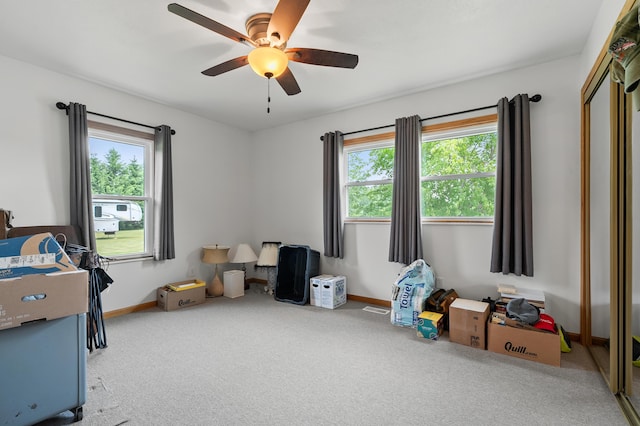 14244 36th St, Gobles, MI 49055 - carpeted bedroom featuring multiple windows, a ceiling fan, and a closet
