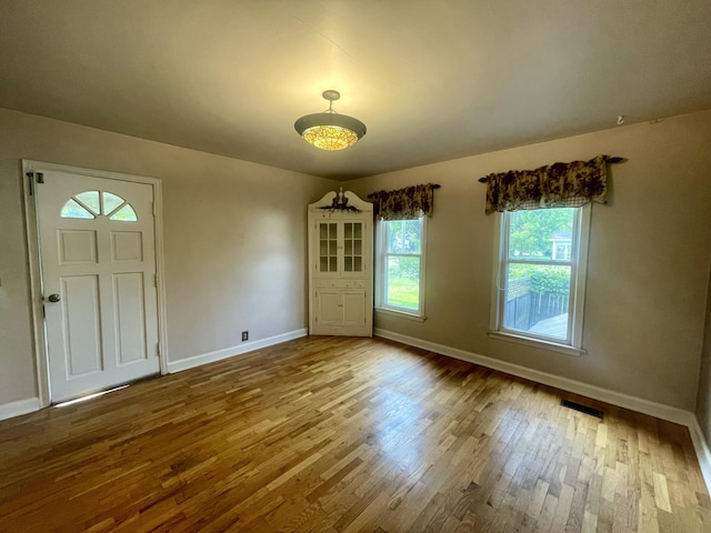408 Wilkinson St, Chelsea, MI 48118 - spare room featuring wood finished floors and baseboards