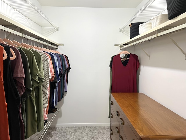 3676 Brentwood St Unit 30, Norton Shores, MI 49441 - walk in closet with carpet flooring