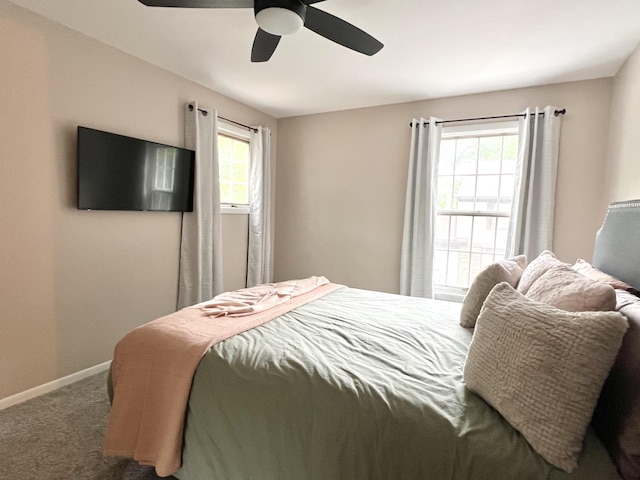 3676 Brentwood St Unit 30, Norton Shores, MI 49441 - bedroom featuring carpet floors, multiple windows, and a ceiling fan