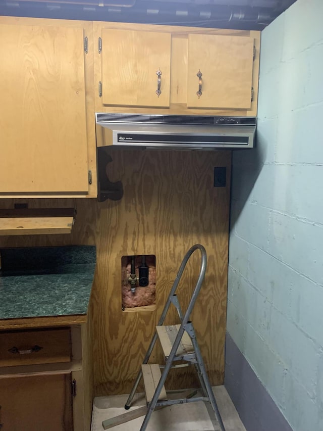 5513 S Waverly Rd, Lansing, MI 48911 - kitchen with concrete block wall